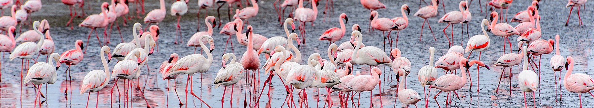 Walvis Bay Walvis Bay
