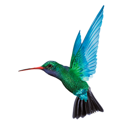 Lennot lähettäjä CARIBBEAN AIRLINES