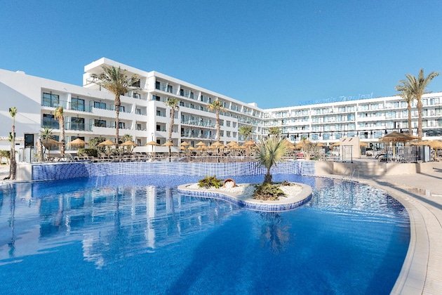Gallery - Best Oasis Tropical