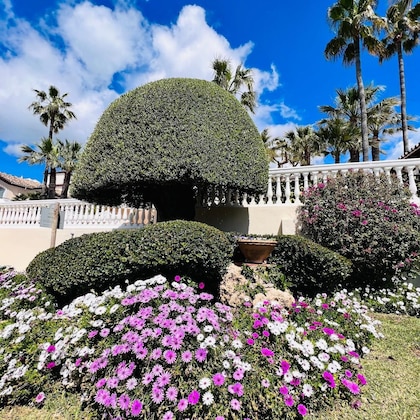 Gallery - Grand Hotel Las Dunas Autograph Collection