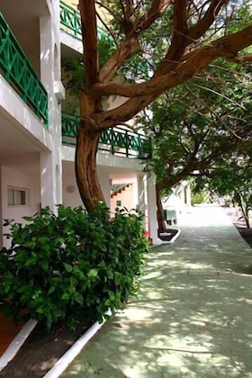 Gallery - Apartamentos Hsa Ficus