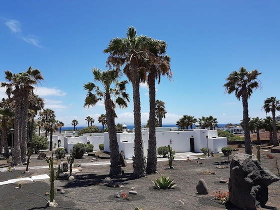 Gallery - Palmeras Garden