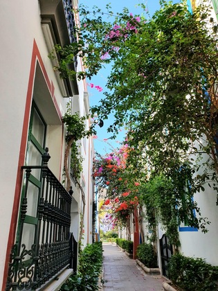 Gallery - Billy's Puerto De Mogán Apartments By Livvo