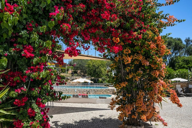 Gallery - Quinta Do Paraíso