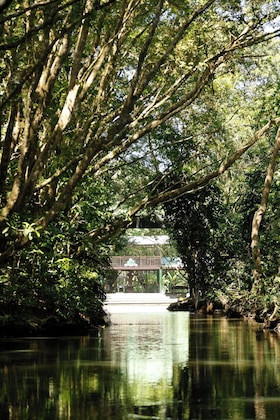 Gallery - Turtle Beach Lodge