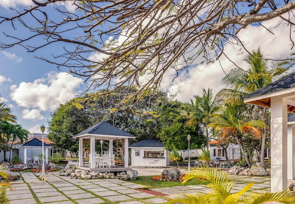 Gallery - Sol Palmeras