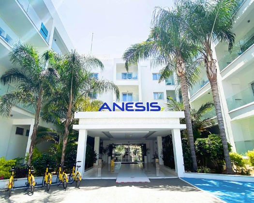 Gallery - Anesis