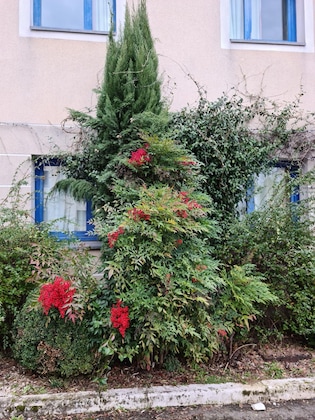 Gallery - Geographotel Paris - Roissy Cdg Airport
