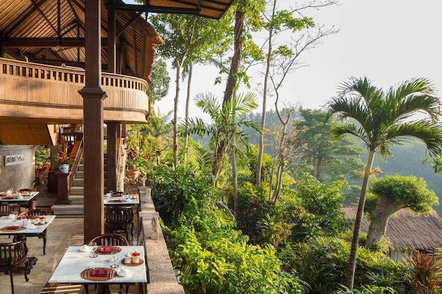 Gallery - Pita Maha