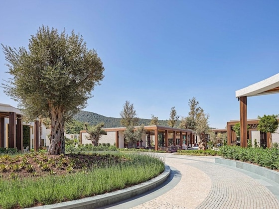 Gallery - Voyage Torba