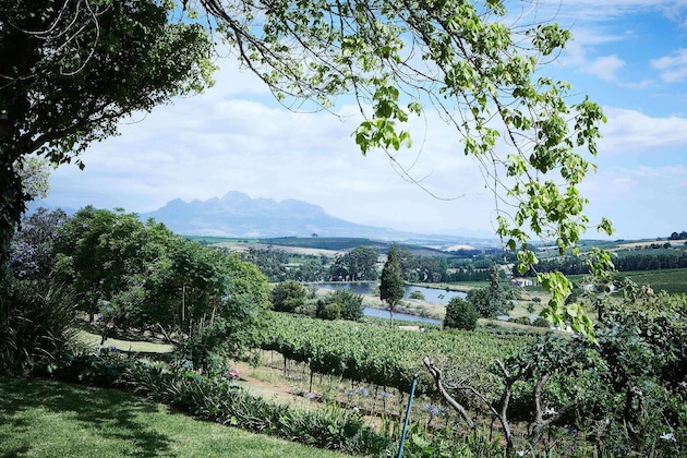 Gallery - The Devon Valley Hotel