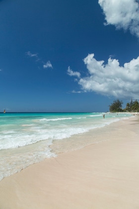 Gallery - The Rockley By Ocean Hotels