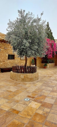 Gallery - Hayat Zaman Hotel & Resort
