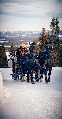 Gallery - Storefjell Resort Hotel