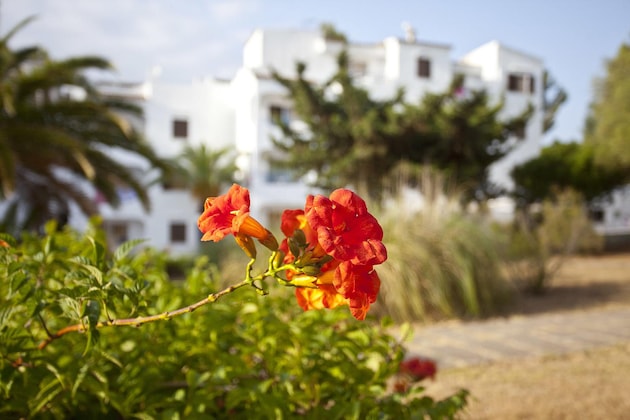 Gallery - Bj Apartamentos Europa