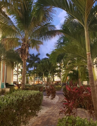 Gallery - Sunset Vistas 603W