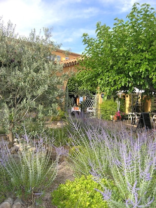 Gallery - Logis Hotel Le Provencal