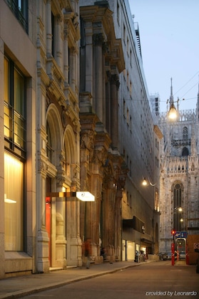 Gallery - Sina The Gray