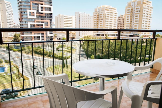 Gallery - Club Amarilis