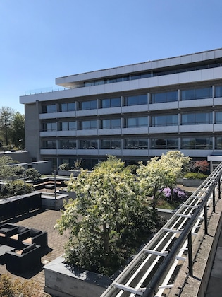 Gallery - Hotel Marina