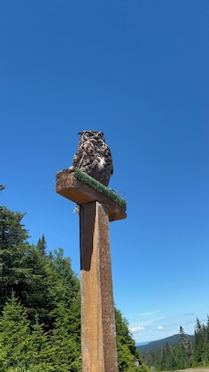 Gallery - Le Westin Tremblant