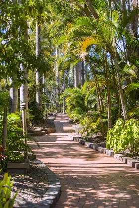 Gallery - Oaks Sunshine Coast Oasis Resort