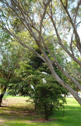 Gallery - Coachman's Eden