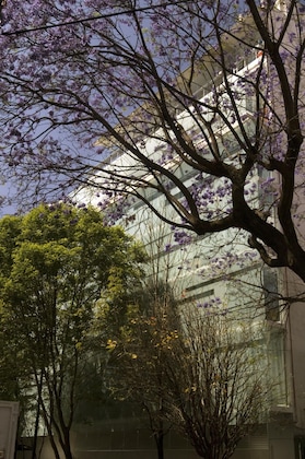 Gallery - Habita, Mexico City, A Member Of Design Hotels