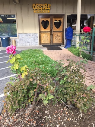 Gallery - Miners Inn