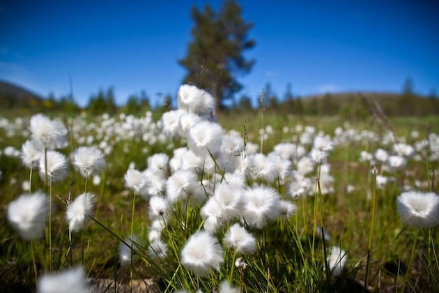 Gallery - Lapland Hotels Kuopio