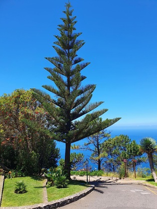 Gallery - Hotel Jardim Atlantico