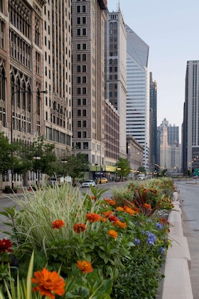 Gallery - Hyatt Regency Chicago