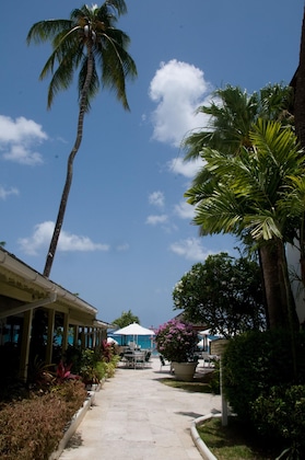 Gallery - Mango Bay All Inclusive
