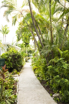 Gallery - Bay View Suites Paradise Island