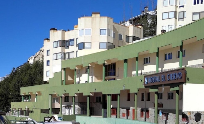 Gallery - Hostal El Ciervo