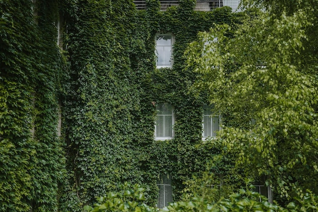 Gallery - Boutiquehotel Stadthalle By Cocoon