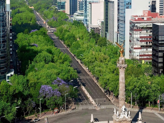 Gallery - Hotel Novotel Mexico City Santa Fe