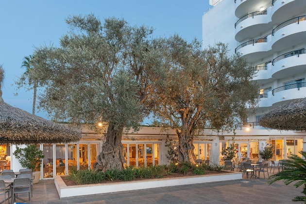 Gallery - Alcudia Beach Apartments