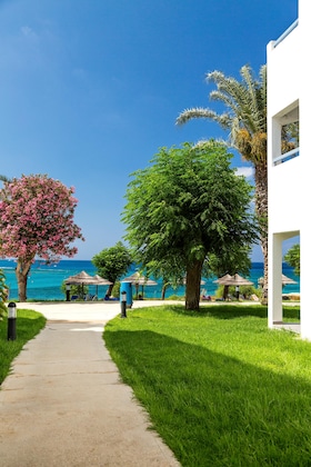 Gallery - Nausicaa Beach