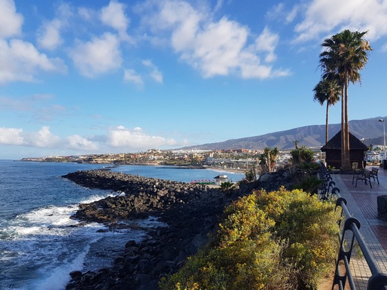 Gallery - Villa Las Flores