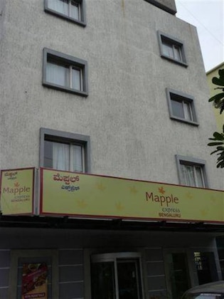 Gallery - Mapple Express