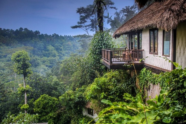 Gallery - Nandini Jungle By Hanging Gardens