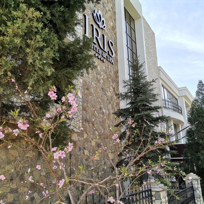 Gallery - Iris Hotel & Spa