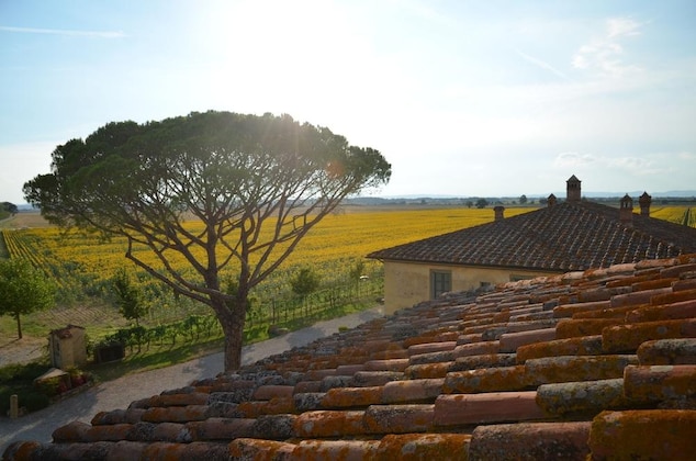 Gallery - Cortona Resort - Le Terre Dei Cavalieri