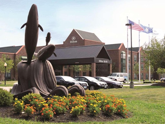Gallery - Hilton Mystic