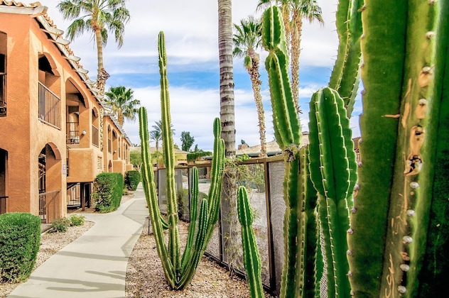 Gallery - Holiday Inn Club Vacations Scottsdale Resort By Ihg