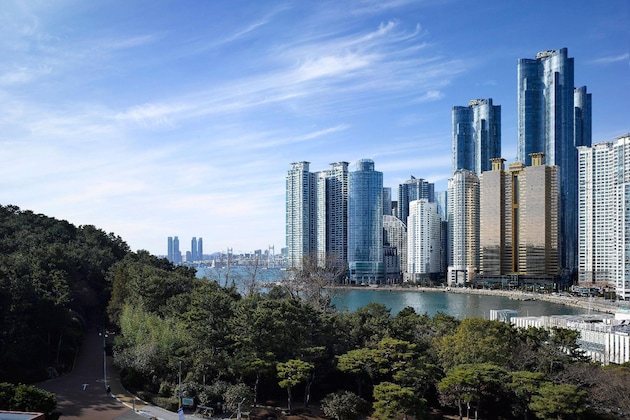 Gallery - The Westin Josun Busan