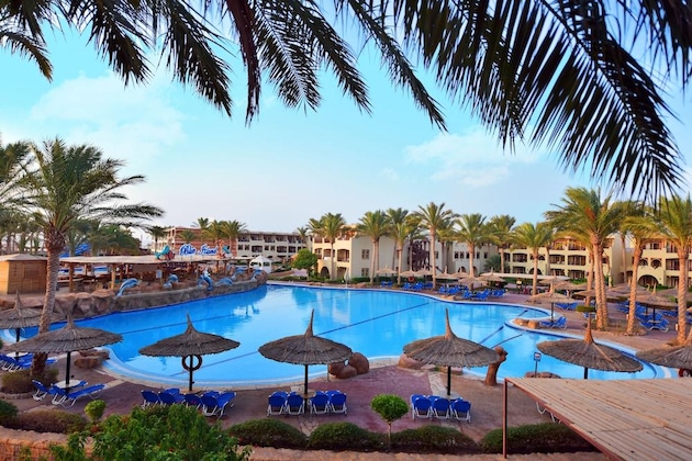 Gallery - Edge Rotana Sea Beach