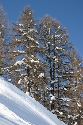 Gallery - Madame Vacances Les Lodges Des Alpages