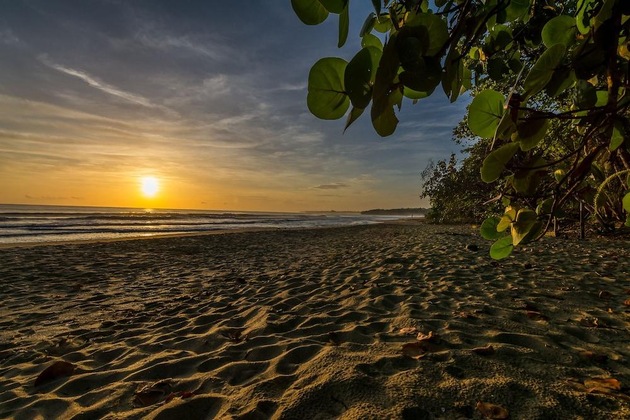 Gallery - Cariblue Beach And Jungle Resort